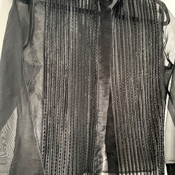 Like new! Fancy Sheer Organza Blouse - Picture 2 of 3